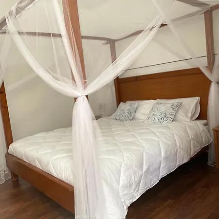 Apartamento 'one Tree' Apartment, Old Town *