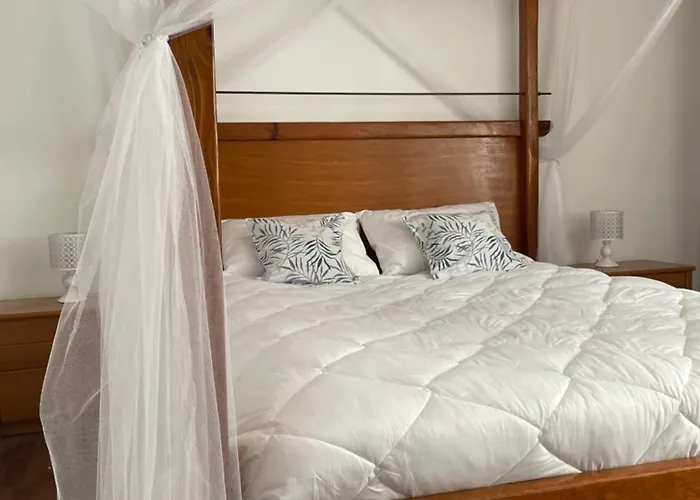 'one Tree' Apartment, Old Town Apartman Zadar