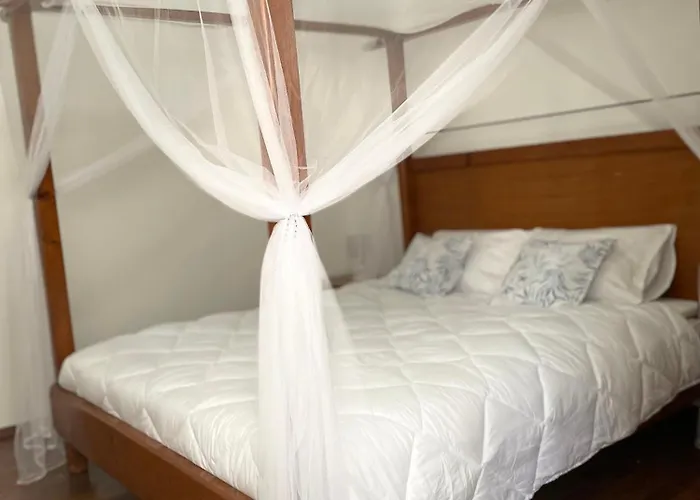 'one Tree' Apartment, Old Town Zadar