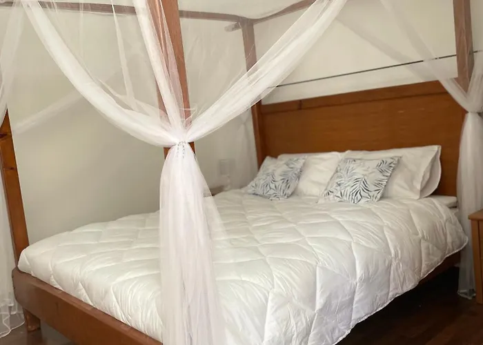 Apartman 'one Tree' Apartment, Old Town *