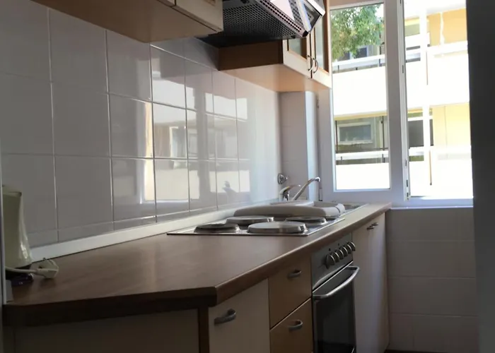'one Tree' Apartment, Old Town Apartment