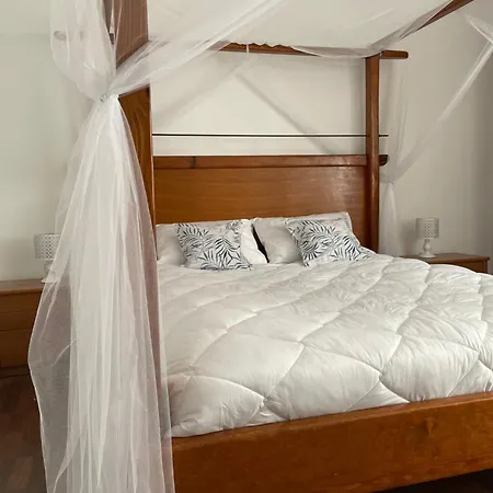 'one Tree' Apartment, Old Town Apartment Zadar