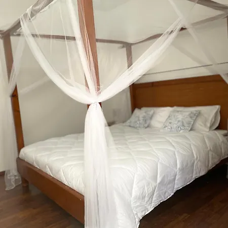 'one Tree' Apartment, Old Town Zadar