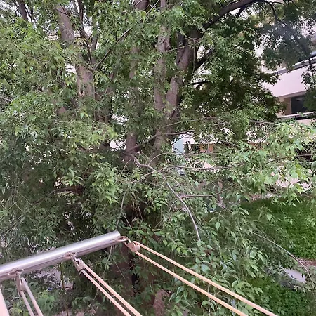 Appartement 'one Tree' Apartment, Old Town *